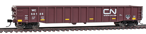 Wisconsin Central (CN Website) 53'