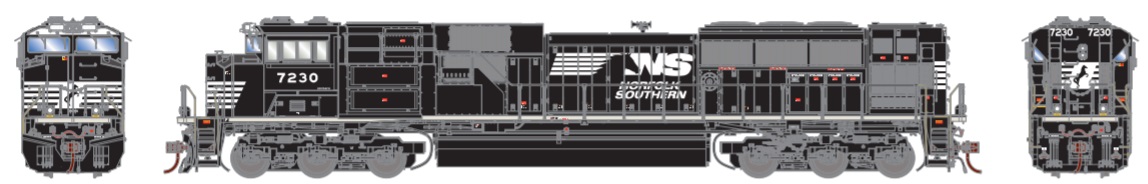  Norfolk Southern with Tsunami DC and

 