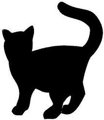 Black Cat Decals