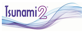 Tsunami 2 Logo 